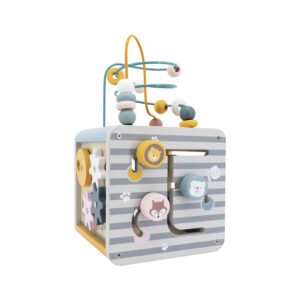 Cubo de Acrtividades 5 en 1